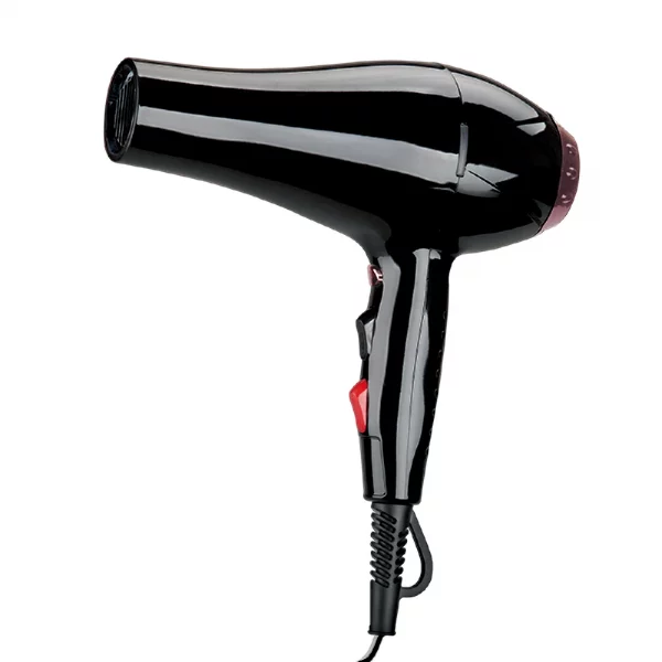 Hair Dryer 2591